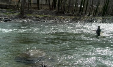 ES DISPUTA EL CAMPIONAT D’ESPANYA SALMÒNIDS MOSCA MASTERS AL PALLARS SOBIRÀ