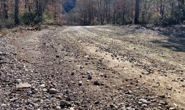 VEÏNS I VEÏNES DE LA TERRETA S’AGRUPEN PER RECLAMAR MILLORES A LES CARRETERES