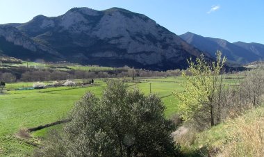 ORGANYÀ JA TÉ ELS PERMISOS PER IMPLEMENTAR UNA DEPURADORA MENTRE S’IMPULSA EL POLÍGON