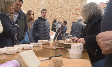 LA MOSTRA DE FORMATGES I LÀCTICS D'ALP REUNEIX PRODUCTORS I VISITANTS