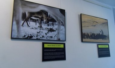 FOTOGRAFIES ATRACTIVES PER CONSCIENCIAR SOBRE EL CANVI CLIMÀTIC