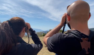 BON BALANÇ EL PROJECTE DE REINTRODUCCIÓ DE VOLTOR NEGRE
