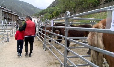 ÈXIT DE LA PRIMERA FIRA DEL CAVALL PIRINENC CATALÀ DE LLAVORSÍ