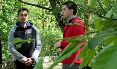 COMPROMÍS X LA SEU PROPOSA LA CREACIÓ D’UN PARC SOLAR AL PLA DE LES FORQUES