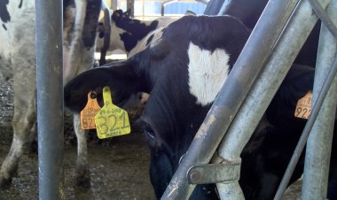 UNIÓ DE PAGESOS DEFENSA L’ENTESA ENTRE SECTORS I TERRITORIS DAVANT LA SEQUERA