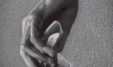 ULL DE VERS, 24 POEMES A TRAVÉS DE FOTOGRAFIES