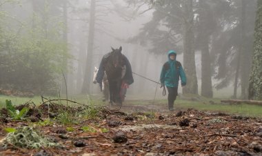 RUTA EN CAVALL AMB SITUACIONS CLIMATOLÒGIQUES ADVERSES COM A PREPARACIÓ PER AL MÓN LABORAL