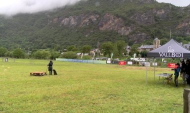 42 GOSSOS COMPETEIXEN AQUEST CAP DE SETMANA A LA VALL DE BOÍ AL CONCURS DE PASTOREIG