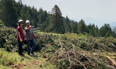 EL PROJECTE BOSCOS ALLARGA TEMPORADA I AMPLIA NOMBRE DE PROJECTES AQUEST ESTIU