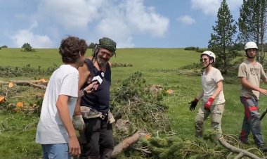 Sumant accions i voluntaris per millorar els boscos: Connecta Lleida Pirineus 3 de juliol