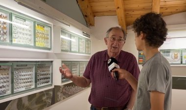 El petit gran món de les papallones: Connecta Lleida Pirineus 5 de juliol