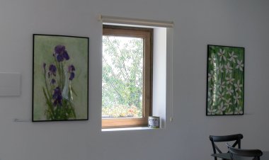 L’ESTUDI DE PALLEROLS ACULL UNA EXPOSICIÓ COL·LECTIVA DURANT L’ESTIU