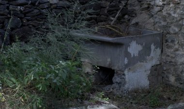 L’AJUNTAMENT DE FONTANALS SOL·LICITA UNA SUBVENCIÓ PEL CONTROL POBLACIONAL DE COLÒNIES FELINES