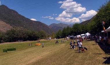EL CONCURS DE GOSSOS D’ATURA I LA FIRA DE L’OVELLA DE LLAVORSÍ APLEGEUEN CENTENARS DE VISITANTS