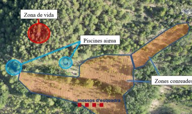 DESMANTELLAMEN UNA MACRIPLANTACIÓ DE MARIHUANA A COLL DE NARGÓ
