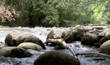 EL GRUP PER UNA CATALUNYA NETA INICIA UN PROJECTE PER NETEJAR EL RIU VALIRA