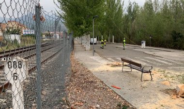 TALEN MIG CENTENAR D’ARBRES PRÒXIMS A L’ESTACIÓ DE LA POBLA PEL RISC DE CAIGUDA