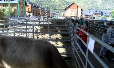 ESTERRI S’OMPLE AMB LA TRADICIONAL FIRA DE SANTA TERESA