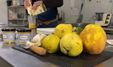 Codony, de l’arbre a l’allioli: Connecta Lleida Pirineus 24 d’octubre