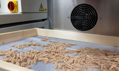 LA SEQUERA DIFICULTA L’EXPANSIÓ DE L’ÚNIC PRODUCTOR DE PASTA DEL PALLARS