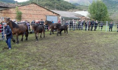 LA FIRA DE TOTS SANTS DE VILALLER ‘RESISTEIX’ LA PLUJA