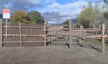 LA FIRA DEL CAVALL DE PUIGCERDÀ ESPERA REBRE UNS 3.000 VISITANTS