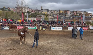 LA FIRA DEL CAVALL DE PUIGCERDÀ SUPERA LES EXPECTATIVES
