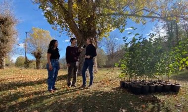 Arbres plantats amb consciència a Bellver: Connecta Lleida Pirineus 14 de novembre