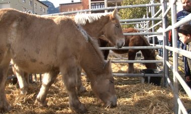ORGANYÀ ES PREPARA PER UNA NOVA FIRA DE SANT ANDREU