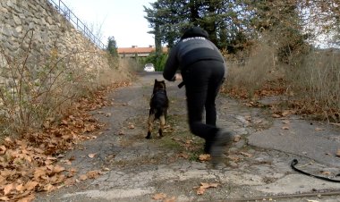 LES UNITATS CANINES DE MOSSOS D’ESQUADRA I POLICIA D’ANDORRA TREBALLEN LA COORDINACIÓ