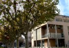 UN MANIFEST DEMANA REGULAR ELS HABITATGES D’ÚS TURÍSTIC AL PIRINEU