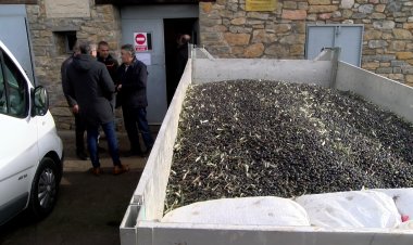 ARAMUNT PROMOCIONARÀ L’OLI DE MUNTANYA A TRAVÉS D’UNA FIRA