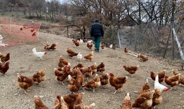 EL PROJECTE ‘QUEFERS’ BUSCA AFAVORIR EL RELLEU GENERACIONAL