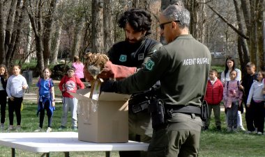 GAIREBÉ 170 JOVES CELEBREN EL DIA DE L’ARBRE A LA SEU D’URGELL