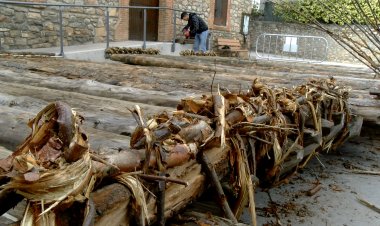 LA BAIXADA DELS RAIERS DE COLL DE NARGÓ ES CONSOLIDA A LA PRIMAVERA