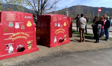 REFUGIS FELINS A LA SEU D’URGELL