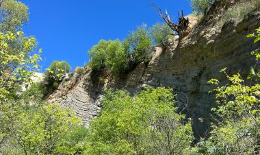 EL BARRANC DE FONT FREDA ESQUERDA ALGUNS EDIFICIS DE SALÀS DE PALLARS