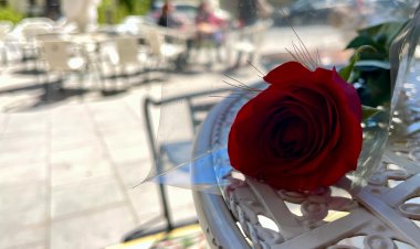 LA DIADA DE SANT JORDI PORTA LITERATURA, ROSES I SARDANES A SORT