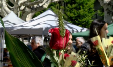 SANT JORDI SUPERA EXPECTATIVES A LA SEU D’URGELL