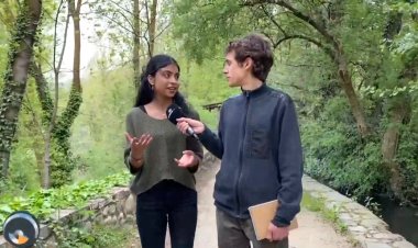 Molses, les pioneres dels boscos: Connecta Lleida Pirineus 25-04-2024