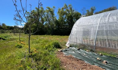 ALBA JUSSÀ PLANTA LLAVORS TRADICIONALS PER A CONREAR OPORTUNITATS