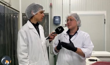 La primera cooperativa càrnica de Cerdanya i l’Alt Urgell: Connecta Lleida Pirineus 06-05-2024