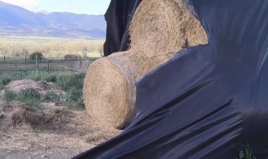 EL CONSELL COMARCAL CERDÀ POSA EN MARXA UN SISTEMA DE RECOLLIDA DE PLÀSTICS RAMADERS