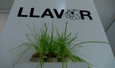 EL PROJECTE ‘HOMO PIRINENSIS’ BUSCA FER-SE EXTENSIU A TOT EL PIRINEU EN SEGÜENTS EDICIONS