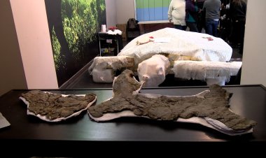 ACTIVITAT A LA SEU D’URGELL I COLL DE NARGÓ EN EL DIA INTERNACIONAL DELS MUSEUS