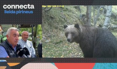 Ramaders del Pallars Sobirà protesten per la gestió de l’os: Connecta Lleida Pirineus 21-05-2024