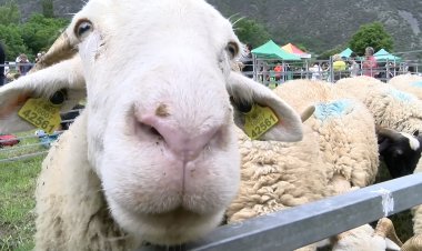 11a EDICIÓ DE LA FIRA DE PRODUCTES ARTESANS DEL PARC NATURAL DE L’ALT PIRINEU