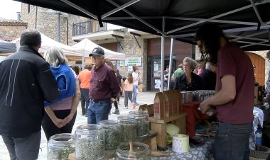 BONA VALORACIÓ DE LA FESTA DE LES TREMENTINAIRES
