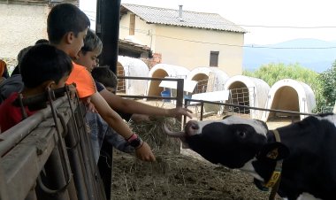 UN PROGRAMA EUROPEU PROMOU HÀBITS DE CONSUM SALUDABLE A LES ESCOLES