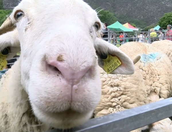 11a EDICIÓ DE LA FIRA DE PRODUCTES ARTESANS DEL PARC NATURAL DE L’ALT PIRINEU